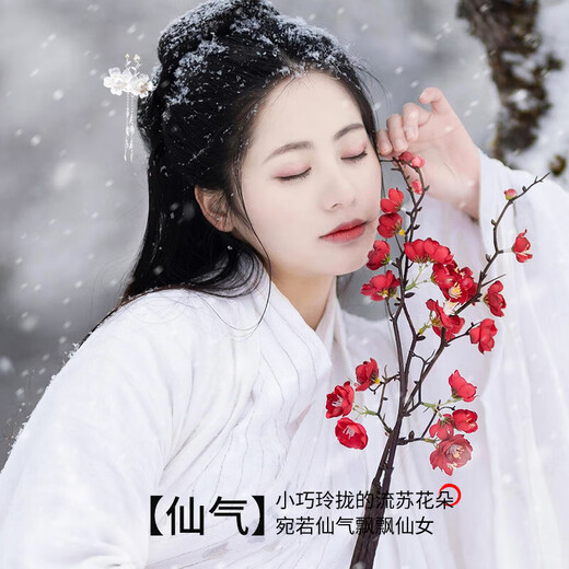 Chinese gold ancient style hairpin, new Chinese style walking silver hairpin, high-end birthday gift for girlfriend and wife to commemorate, practical plum blossom hairpin