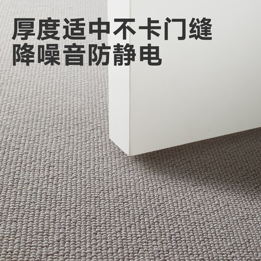 Dajiang floor mat entrance door foot mat entrance floor mat wool carpet door entrance floor mat 75x110cm