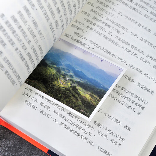 【现货正版·新书699页】家山书王跃文著 作家王跃文Z新长篇小说力作 我是一个乡下人乡土中国日常生活 史笔为文 人民文学出版社 家山