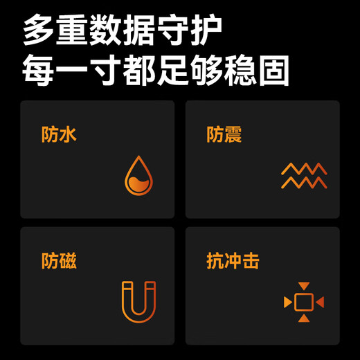 毕亚兹(BIAZE)256GB TF（MicroSD）存储卡 行车记录仪&安防监控专用内存卡读速100MB/S家庭监控高度耐用