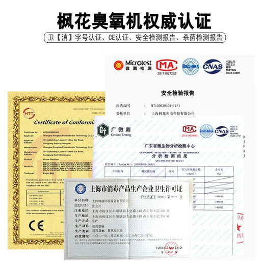 Maple 10G ozone sterilizer CYJ1910A-Y ozone generator industrial sterilizer factory food factory purification workshop breeding farm cold storage warehouse sterilization pipe water disinfection 304 stainless steel material (recorded model)