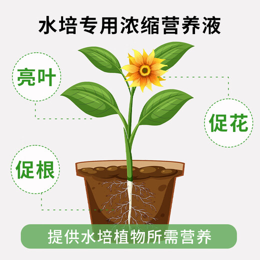 Dewoduo hydroponic special concentrated plant nutrient solution 150ml*3 gardening green plant flower fertilizer rooting organic foliar fertilizer