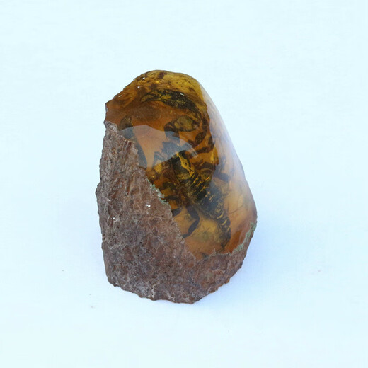 Scorpion Artificial Amber with Insects Natural Raw Stone Animal Specimens Insect Beeswax Scorpion Ornaments Picture Color