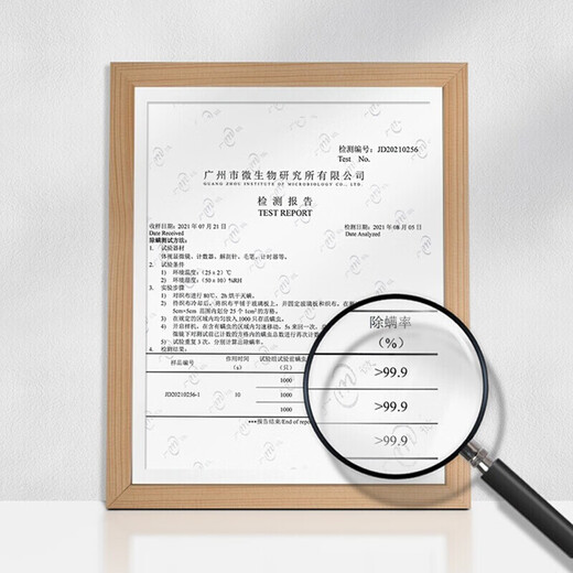 Merf household fabric cleaning machine, floor scrubber, mite removal vacuum cleaner, spray and suction integrated sofa, carpet, blanket, doll, curtain, mattress, multi-functional cleaning machine artifact, newly upgraded, high temperature dirt melting + electrolyzed water sterilization + mite removal head