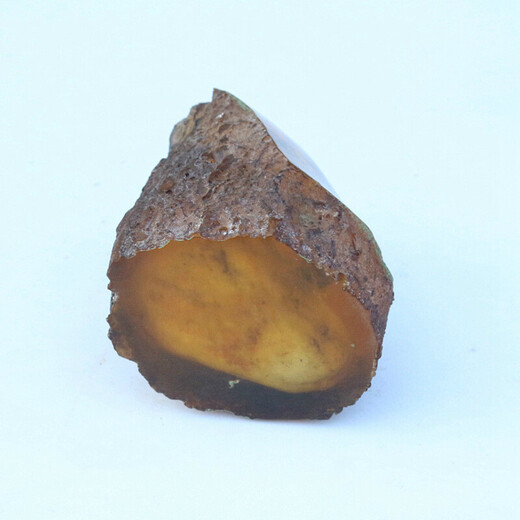 Scorpion Artificial Amber with Insects Natural Raw Stone Animal Specimens Insect Beeswax Scorpion Ornaments Picture Color