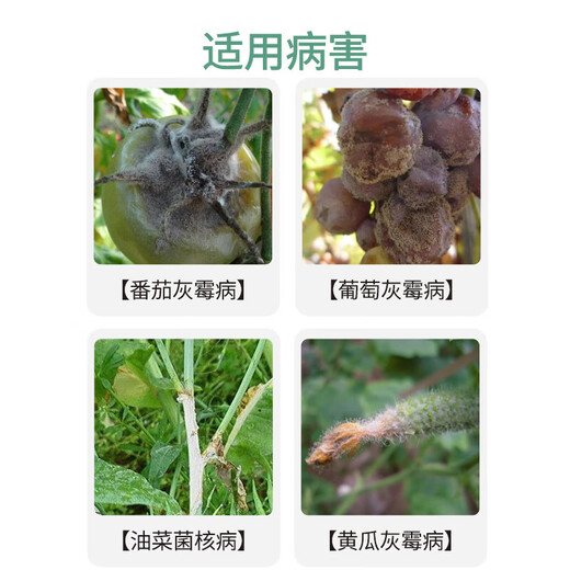 邦赛克50%腐霉利葡萄草莓番茄黄瓜茄子灰霉病菌核病腐烂病农药杀菌剂