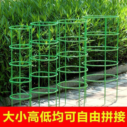 勤凯花架子室内家用支架通用型蟹爪兰花架莲花护叶架园艺盆栽支撑杆AS 【升级加粗+植物通用】 拍一发十【60根】到手十层