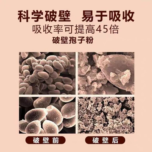 南京同仁堂破壁灵芝孢子粉胶囊中老年成人提高体质增强免疫力正真品灵芝孢子粉官方京l東直營大药房舰旗店 五盒装