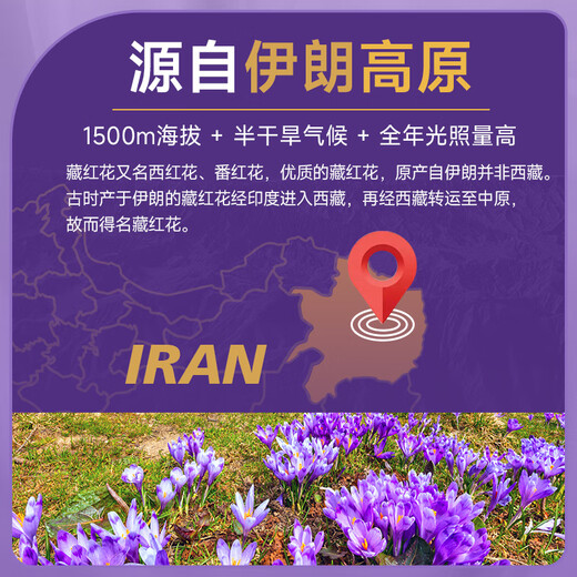 Yuan dachang azafrán 1 g/botella Irán azafrán importado Crocus filamentos rojos con té de flores para mujeres seleccionadas a mano
