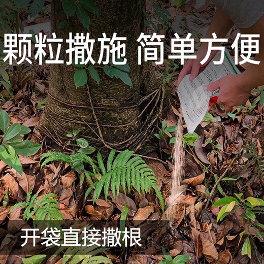 Eastern Sichuan pesticide cyclazinone copper weed killer, large trees, bamboos, shrubs, rotten roots and dead roots, special pesticide herbicide 200ml