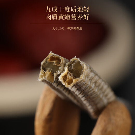 Fudonghai Hexao Hailong 18G Goods secs, matières premières, ingrédients de soupe, coffre-cadeaux pour les clients, vin