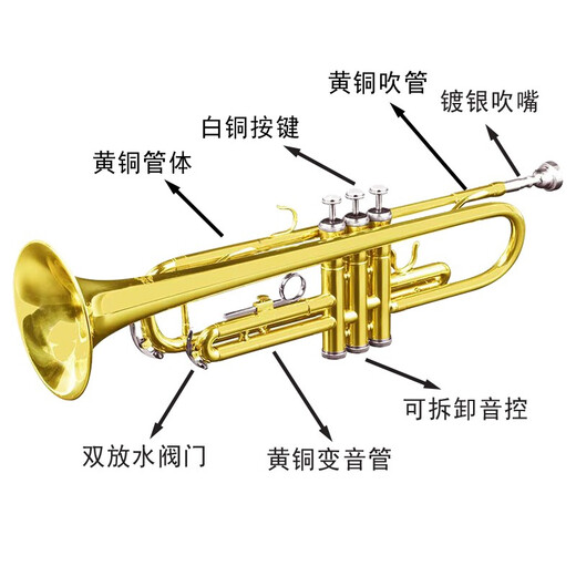 海之韵 小号乐器降B调小号儿童学生青年号三音西洋管乐初学考级乐队小号 经典演奏款