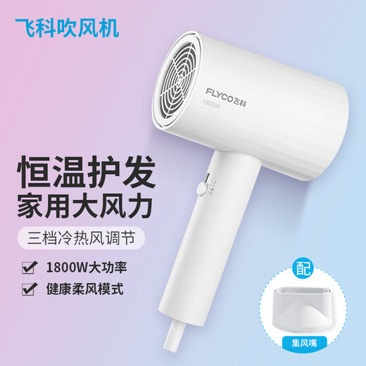 Secador de pelo de Flyco para hogares de alta potencia de 1800W secadora de velocidad silenciosa La temperatura constante de la temperatura que los estudiantes no se lastimarán el cabello. Estándar original FH6296 Aguacate Green