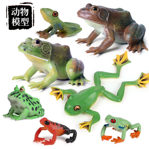 Oenux Simulation cognitive grenouille jouet solide enfant de poupée pour enfants Small Ornaments Bullfrog Frog Frog Bullfrog Frog Toad 1429 Africain Reed Frog