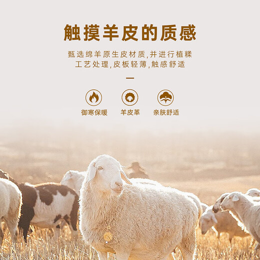 Montagut Sheepskin/Delicate and Soft Leather Jacket Men's Genuine Leather Men's Motorcycle Leather Jacket Autumn New Black M 48