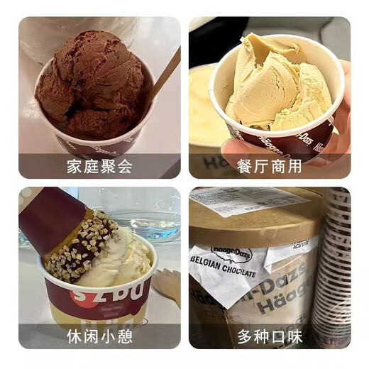Haagen-Dazs Ice Cream Vat Commercial Ice Cream Buffet Matcha Ice Cream Vanilla Flavor Cold Drink Household 7.4kg Blueberry