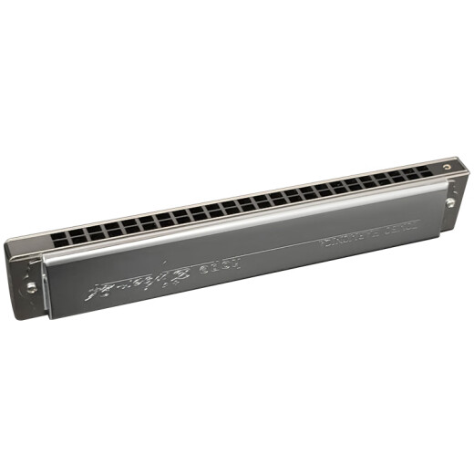 
Tongbao 2024 new 24-hole polyphonic harmonica 6624S PRO adult advanced performance upgraded electroplating seat plate 24-hole BNm natural minor tune