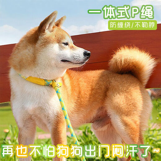 Pet traction rope, special dog leash for outdoor explosion-proof training for dogs, small, medium and large dog p chain, dog walking rope, 1 piece, 1.5 meters/0.6cm, green blue dots, no Specifications