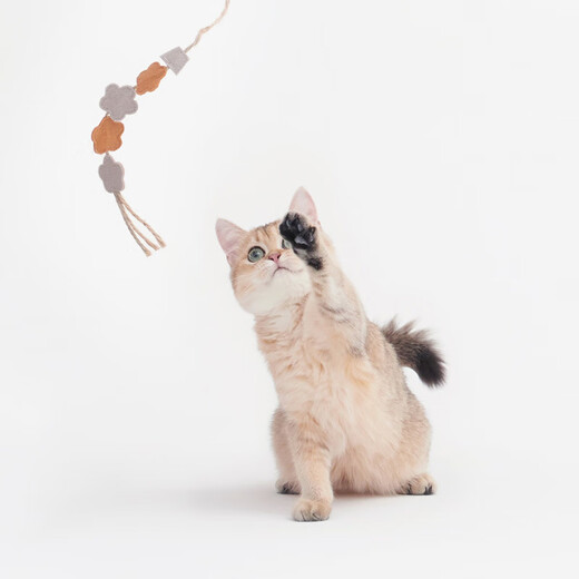 MUJI Cat Flirting Sticks Flowers Pet Supplies Cat Toys Small Diameter 1*Length 50cm
