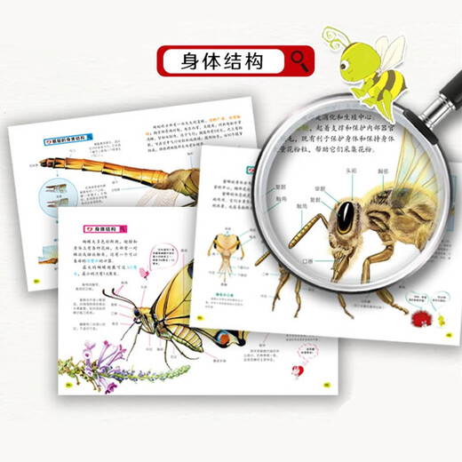小昆虫大探秘（全套8册）彩图版 中小学生课外科普百科自然动物绘本1348****神马卡通四川少年儿童出版社