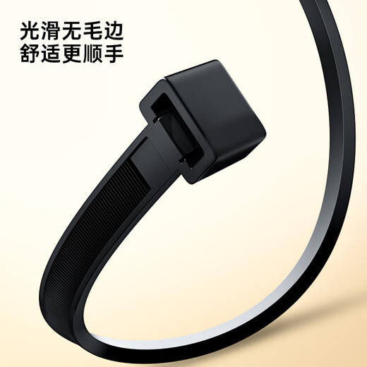 毕亚兹 自锁式尼龙扎带小号2.5*100mm 电脑主机装机 园艺 理线束线捆绑 黑色扎带固定器收紧器 100根/包