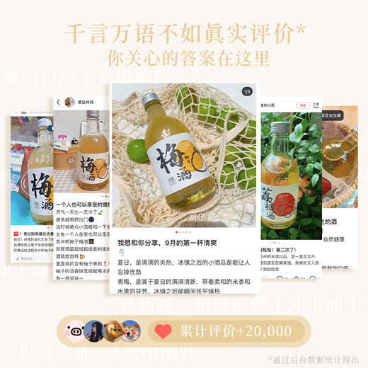 Suzhou Bridge Pomelo Plum Wine 6 degrees low-degree women's slightly intoxicating sweet wine 375ml Suzhou specialty