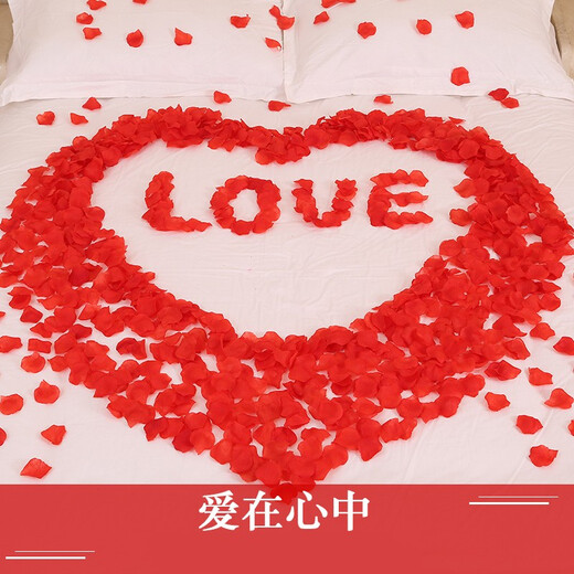 Happy Bird Wedding Supplies Simulated Rose Petals Wedding Room Decoration Proposal Confession Wedding Flowers Birthday Valentine's Day Red (1000 Pieces)