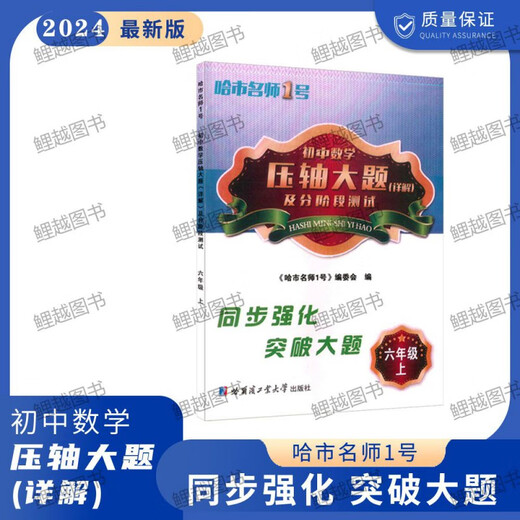 初中数学2627压轴大题详解六七八678年级五四54制哈尔滨市期中末 7年级【上册】 初中通用