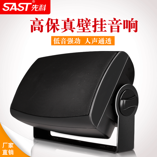 先科（SAST） 壁挂蓝牙功放重低音音响套装大功率影音箱组合家用店铺室内超市餐厅挂壁式奶茶店背景音乐 100W功放+4寸重低音壁挂*2