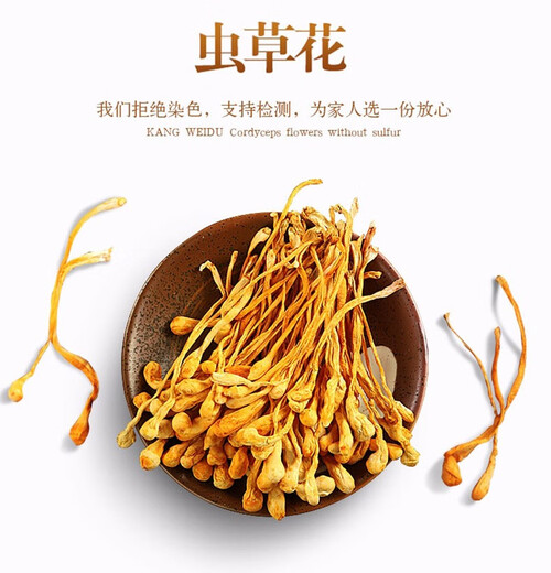 Pflanzenfest Cordyceps Blüten Trockenwaren ohne additive Cordyceps Suppe Material Suppe Material Packung Spezielle Werbespot 250 g [2 Dosen] 1 Gramm Safran + 26 g Cordyceps Blume
