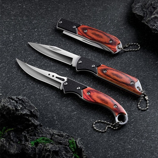 OPPEIN Folding Fruit Knife Household Knife Stainless Steel Sharp Fruit Knife Outdoor Hand Knife Multifunctional Portable Knife Hand Knife with Tail Ring