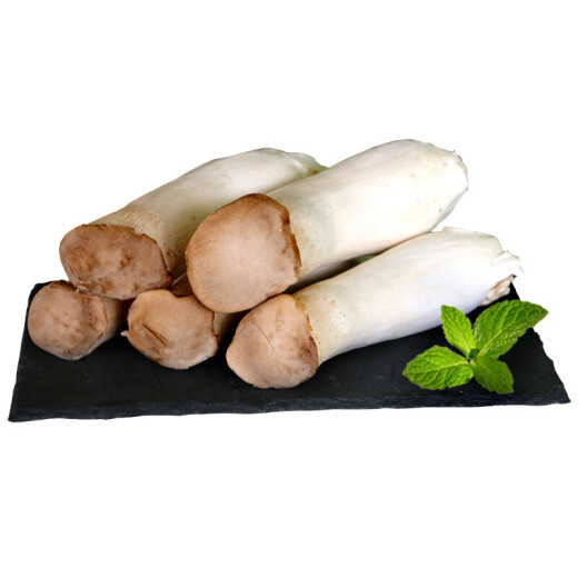 Jingguo Yiren Pleurotus eryngii is commonly used in soups and barbecues, fresh vegetables, edible mushrooms, Pleurotus eryngii, and drumstick mushrooms, now harvested and packed in 3 Jin [Jin equals 0.5 kg]