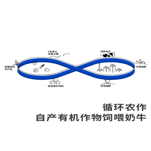 Asahi Vipshop yogurt ranch/raw coconut/cherry blossom viewing buttermilk 100g*4 cups*3 boxes Ranch low temperature yogurt ranch+raw coconut+cherry blossom viewing combination 100g*4 cups 3 boxes