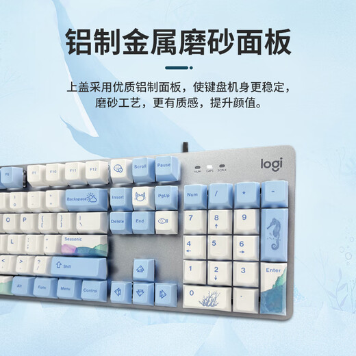 罗技（Logitech）K845机械键盘 游戏键盘 办公键盘有线全尺寸办公家用背光电竞吃鸡键盘 K845-青轴-鲸落