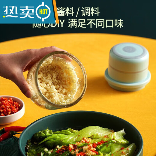 PGY Japan imported high-quality garlic artifact electric garlic pounder small garlic grinder for household baby food supplement green 250 ml/pounded garlic/chopped pepper/minced meat plastic