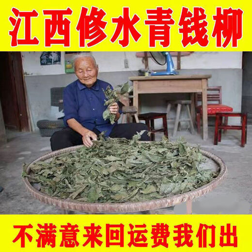 Xiushui Wildgrün und Qian Liu Tea Qingjin Geld Spezielle Grade Ancient Tree Tender Blätter Originalblätter mittleren Alters und älterer Gesundheit Tee zwei Jin [Jin entspricht 0,5 kg] 1000 Gramm Originalblätter