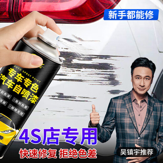 Pu Lv car paint automatic spray paint touch-up pen pearl white black hand shaker special repair scratch repair paint