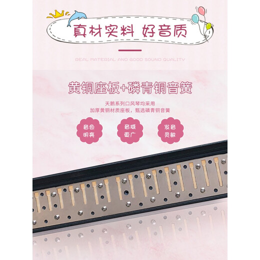 37键小学生用口琴儿童初学者口琴演奏成人可用  演奏说明定制款 37键口风琴【黑色】
