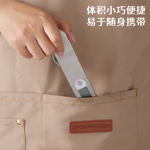 拜杰手提秤电子秤便携式弹簧秤旅游行李秤快递秤家用小挂称吊钩钓鱼秤