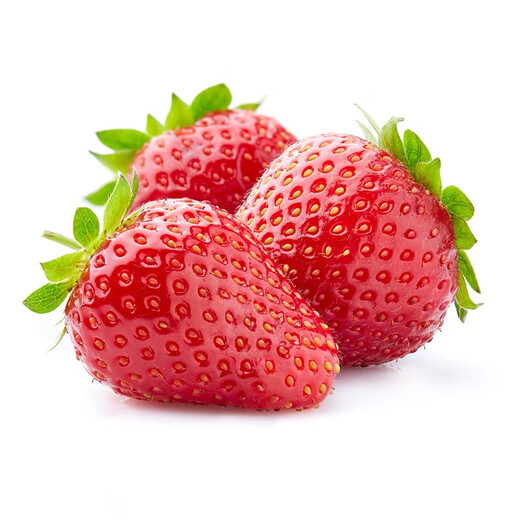 Strawberry seed cream strawberry seedlings for planting indoor and outdoor balcony vegetables and fruits potted flower seeds Dandong spring four seasons Rainbow field four seasons milk strawberry seeds 150 capsules * 2 packs