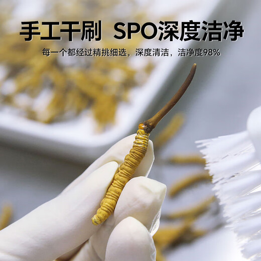 秦仁堂 冬虫夏草断虫草高品质洁净饱满 滋补品养生送礼长辈实用佳品虫草 全虫断草 5克装【自用推荐】