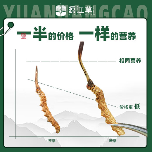Yuanjiang Gras Cordyceps sinensis Auswahl an Cordyceps vulgaris erschwingliches Paket für ältere Nahrungsergänzungsmittel für sich selbst gegnerische Geschenke 10 Gramm gebrochenes Gras