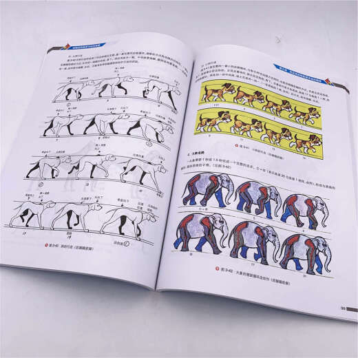 【全新正版】动画运动规律与时间掌握 清华大学出版社 9787302512189 动画运动规律与时间掌握 动画运动规律与时间掌握