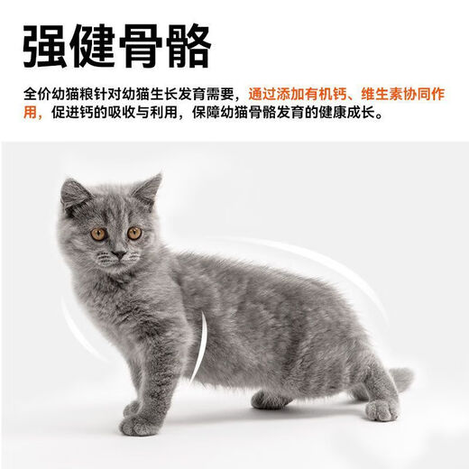 Good Master Good Master cat food for kittens special weight gain 1412 months kitten milk cake blue cat 5Jin Jin equals 0.5kg 25kg upgraded gold 82 meat content kitten food 2Jin Jin equals 0.5kg Default