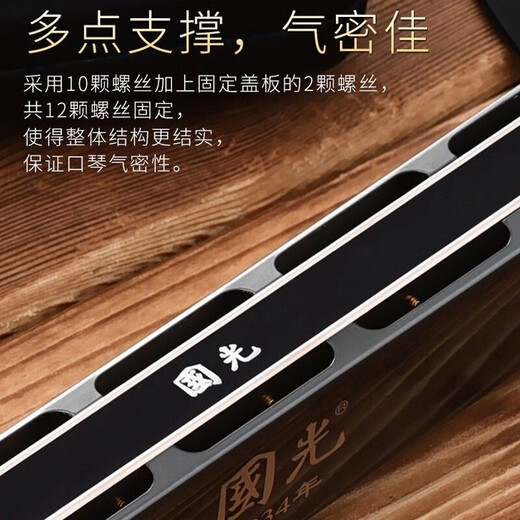 国光德国进口音簧国光28孔口琴重音复音C调高级成人初学专业演奏级 【演奏款】28孔黑色重音