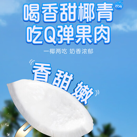 JOYVIO Thai easy-opening green coconut 6 pieces medium fruit 800g+ fruit straight from the source fruit gift box