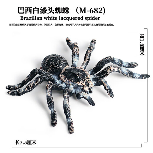 Simuliertes Gummi-Spinnen Neue Halloween Streichspielzeug simulierte Spinnengiftspinnen-Spinneninsekten-Tiermodell Kinderspielzeug Plastik Ornamente Geschenk Ox-683 Brasilianer Blue Bird-Catch-Spinne [0,017 kg]