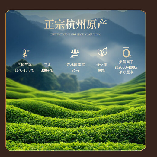 第一江南2025新茶绿茶西湖龙井特级150g明前茶叶礼盒装春茶嫩芽父亲节礼物