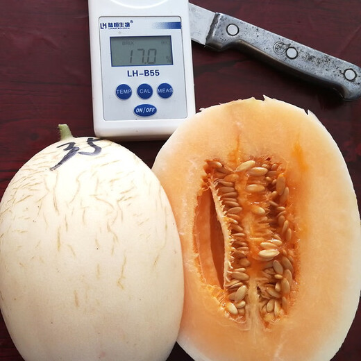 Zhongke Maohua Emerald Croissant Honey Melon Seed Pomeranian 61 White Sand Honey Oriental Honey Combination Home Gardening Balcony Potted Plant Zhongke Honey No. 1 20 capsules/bag Home Gardening