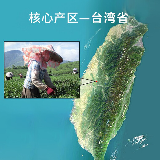 尚轩冻顶乌龙茶 台湾原装进口 三分焙火 经典炭焙浓香型 高山茶300g